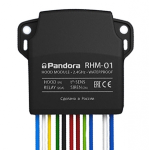    Pandora RHM-01
